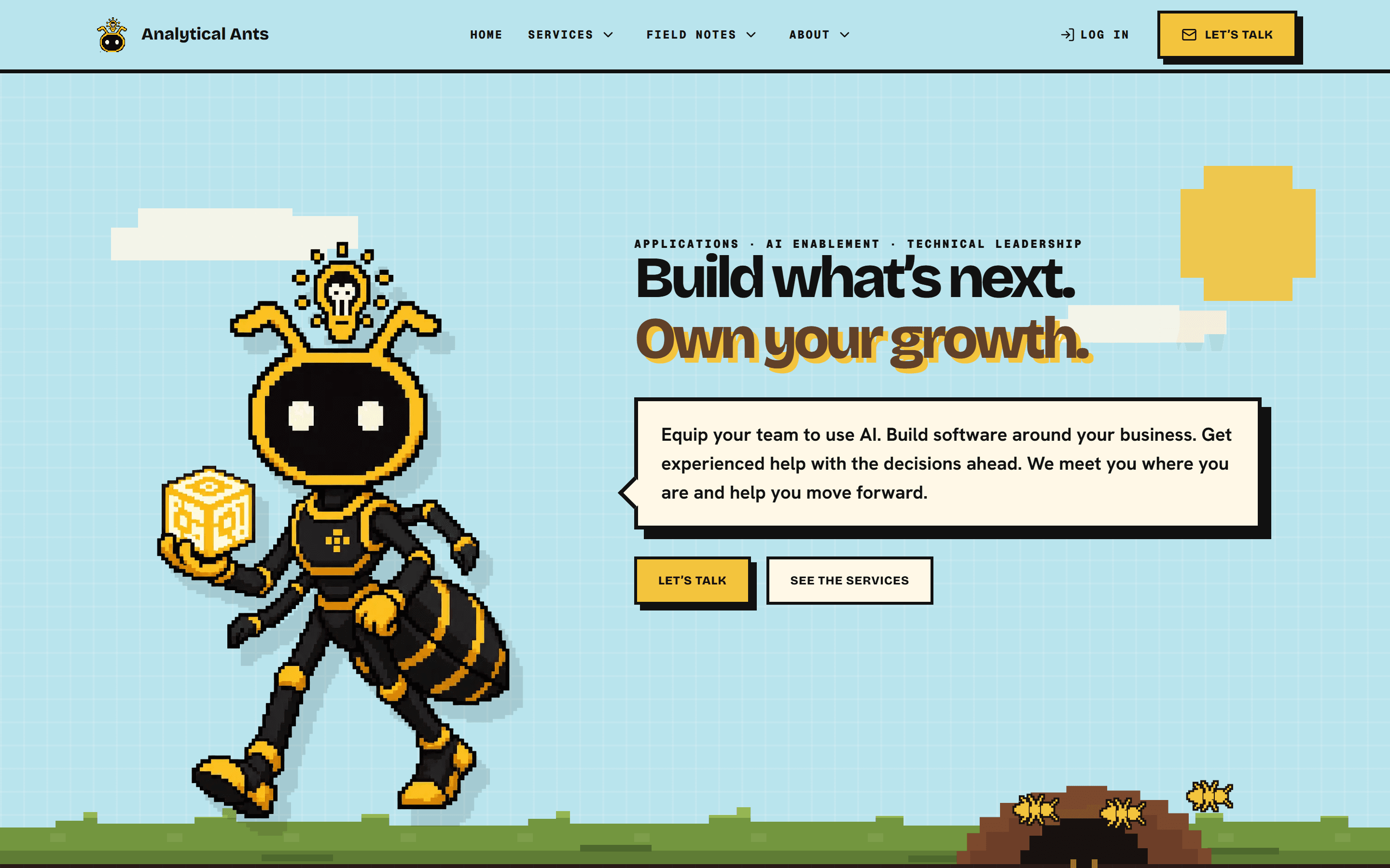 The previous Analytical Ants homepage hero: a static ant illustration beside the headline Build what's next, Own your growth, with the services in small type